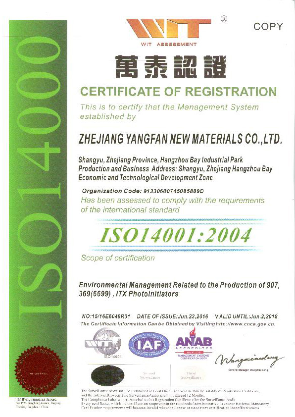 ISO14001：2004英（副本）