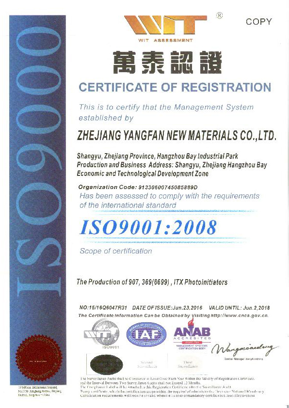 ISO9001：2008英（副本）